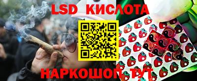 сатива Бийск