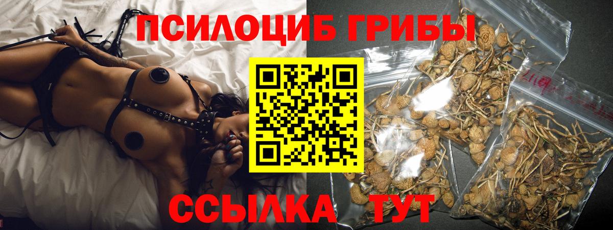 Галлюциногенные грибы GOLDEN TEACHER  купить  сайты  Гусев 