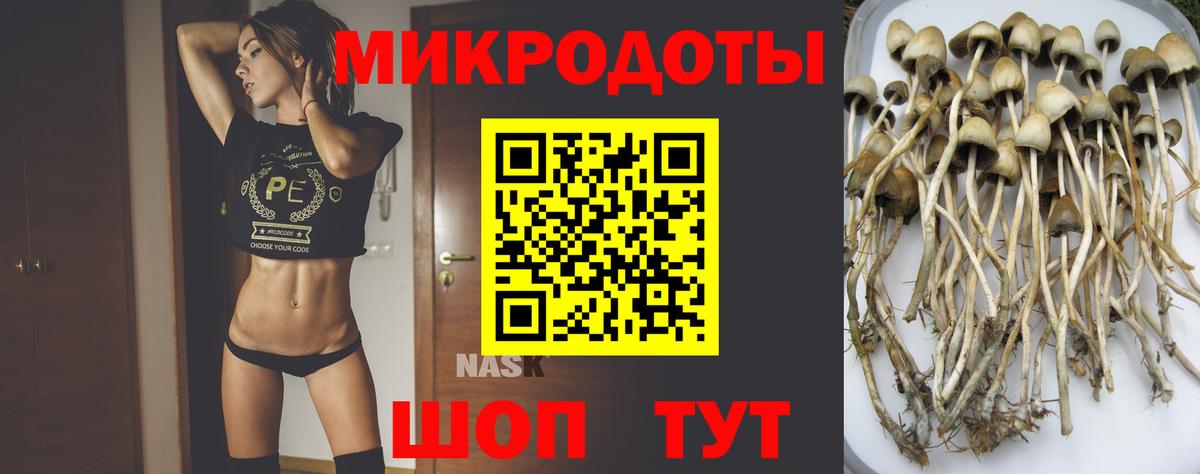 Гусев  Галлюциногенные грибы мицелий  Вход с VPN  Галлюциногенные грибы ЛСД 