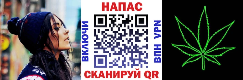 Бошки Шишки White Widow дарк нет наркотические препараты Гусев